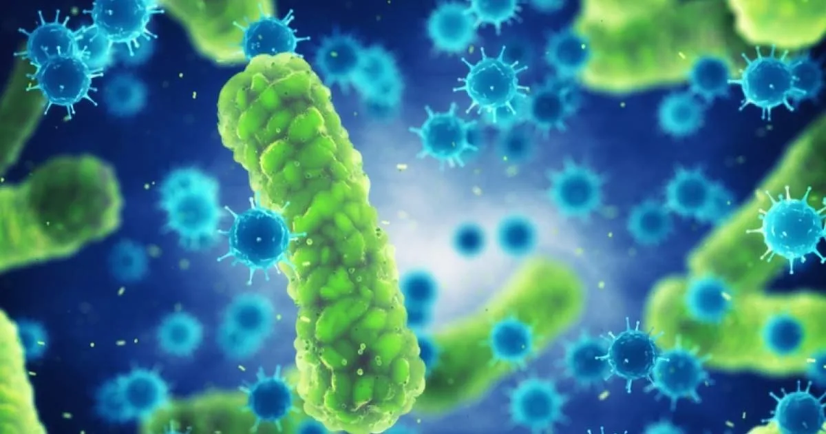 Representación microscópica de cultivos bacterianos empleados en tratamiento biológico