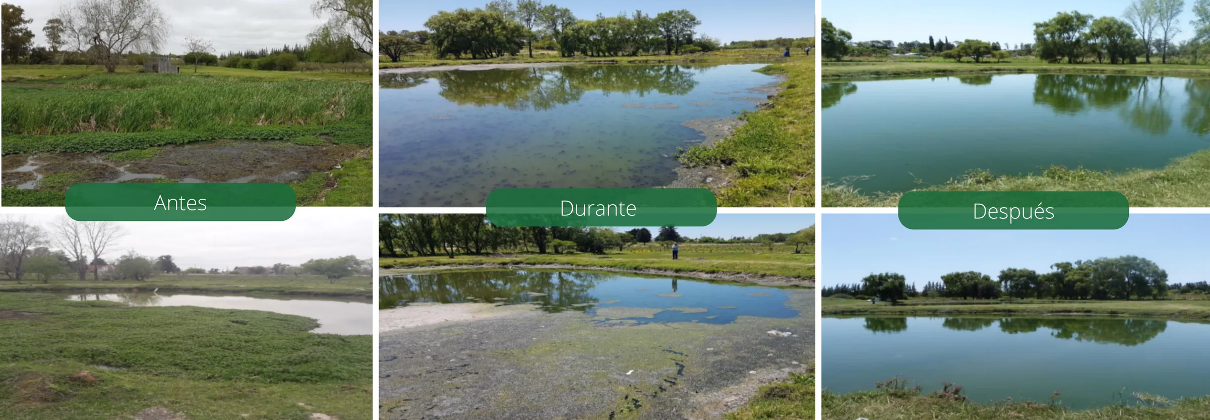 Laguna de saneamiento antes, durante y después del tratamiento biológico