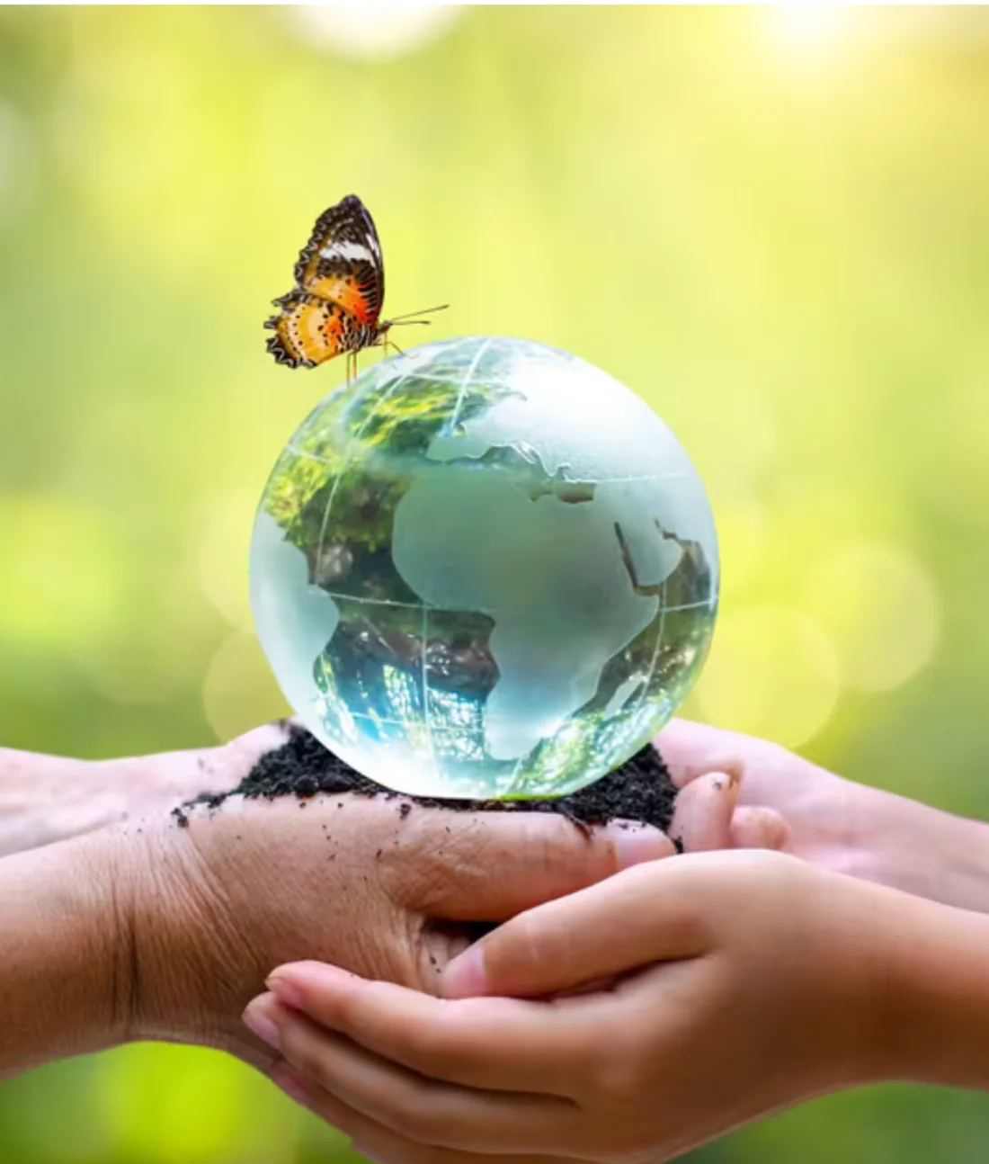 Manos sosteniendo un globo terráqueo de cristal, símbolo del cuidado ambiental
