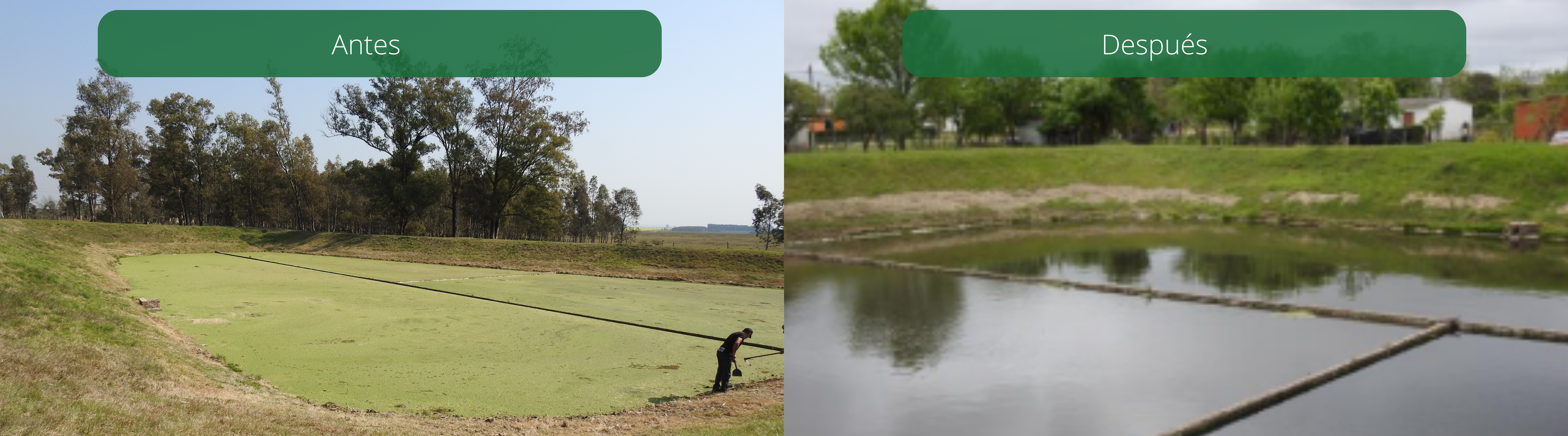 Imagen Río Negro antes y después