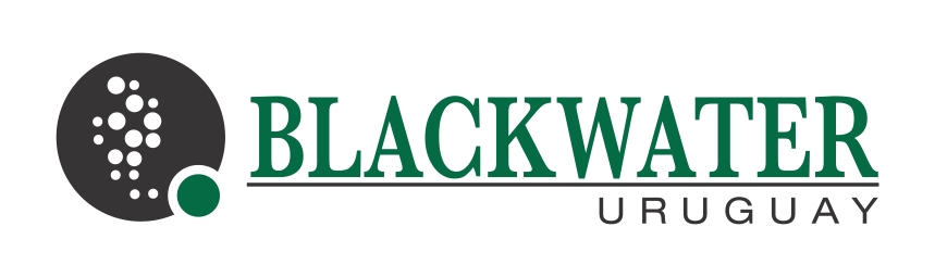 Blackwater Logo
